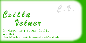 csilla velner business card